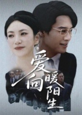 爱向暖阳生(全集)