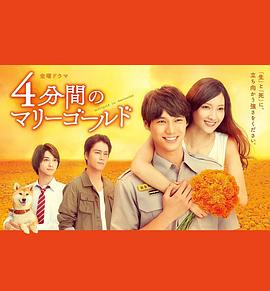 四分钟的金盏菊(全集)