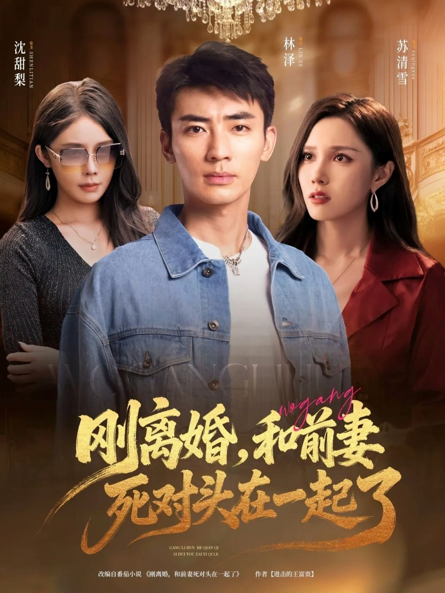 刚离婚和前妻死对头在一起(全集)