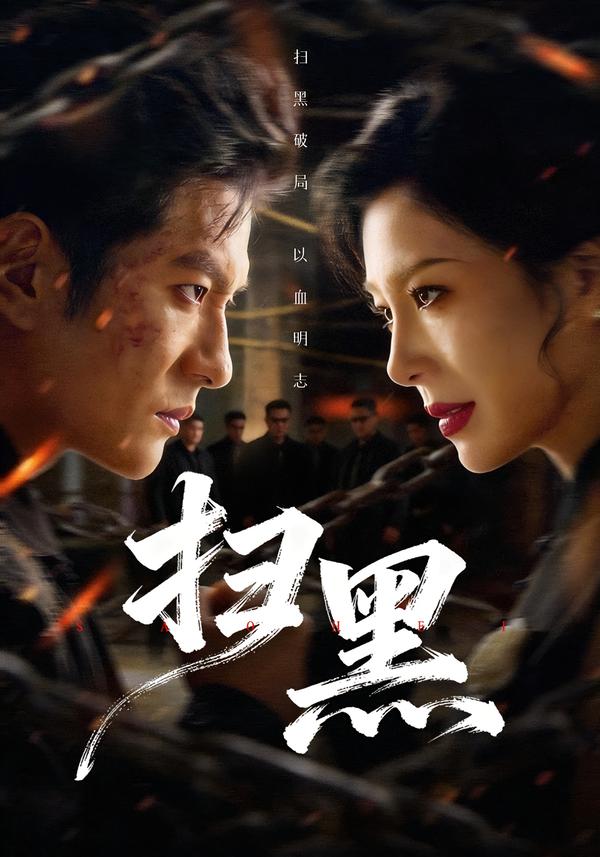 扫黑2026(全集)