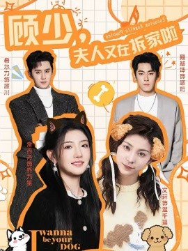 顾少，夫人又在拆家啦(全集)